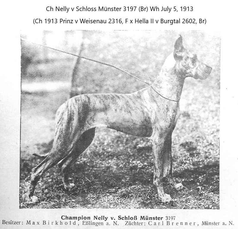 Nelly v Schloss Munster